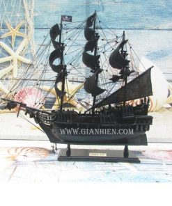 PIRATE SHIP