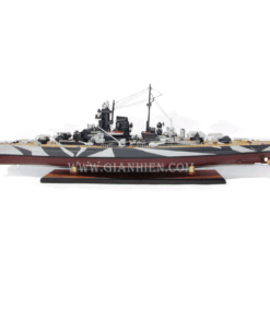 TIRPITZ CAMOUFLAGE