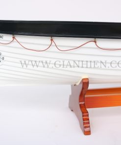 Titanic's Lifeboat