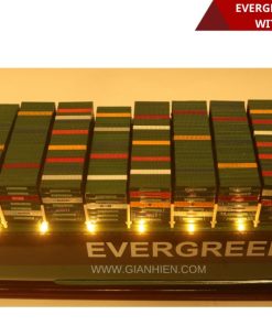EVERGREEN 100CM WITH LIGHT-30