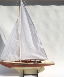 HOUTEN PAMPUS