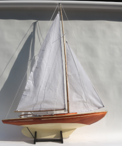 HOUTEN PAMPUS