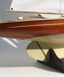 HOUTEN PAMPUS11