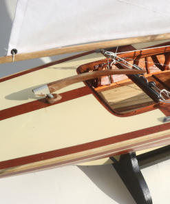 HOUTEN PAMPUS