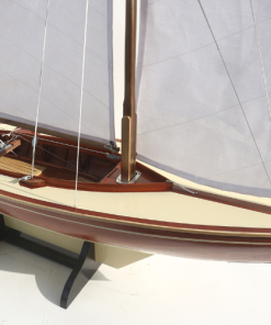 HOUTEN PAMPUS