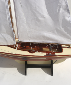 HOUTEN PAMPUS