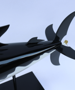 Tin Tin Shark (6) Min