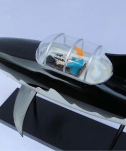 Tin Tin Shark (7) Min