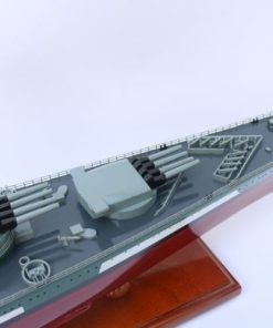 French Battleship Richelieu (11)