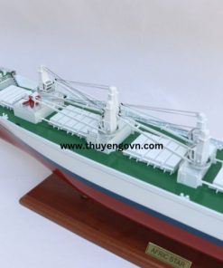 Afric Star (5)