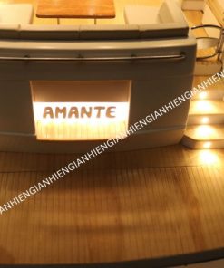 Princess F70 With Light (11)