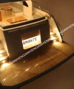 Princess F70 With Light (9)