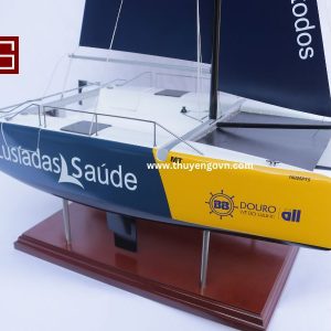 Catamaran Inclusive Sailing 60cm (11)