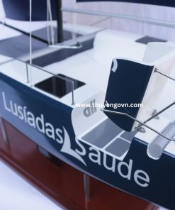 Catamaran Inclusive Sailing 60cm (2)