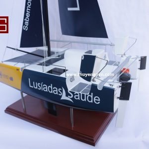 Catamaran Inclusive Sailing 60cm (3)