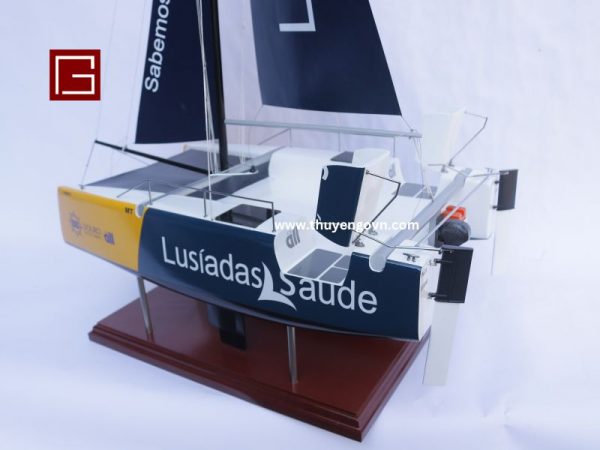 Catamaran Inclusive Sailing 60cm (3)