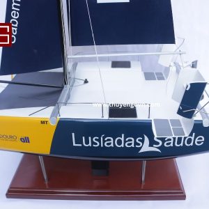 Catamaran Inclusive Sailing 60cm (4)