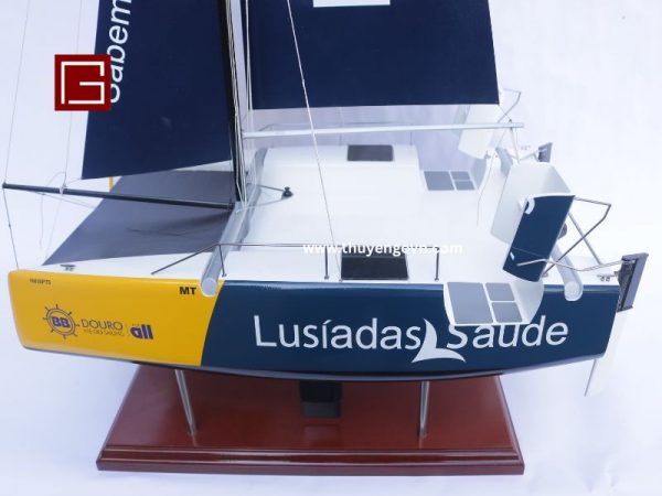 Catamaran Inclusive Sailing 60cm (4)