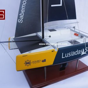 Catamaran Inclusive Sailing 60cm (5)
