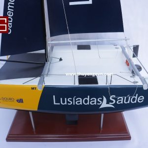 Catamaran Inclusive Sailing 60cm (6)