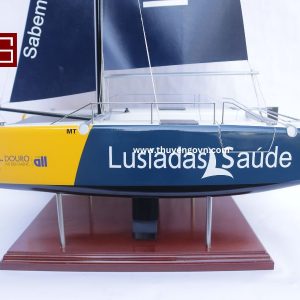 Catamaran Inclusive Sailing 60cm (7)