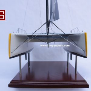 Catamaran Inclusive Sailing 60cm (9)