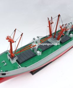 Nedlloyd Bangkok 100cm (3)