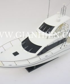 Toyota Ponam 35 White Hull