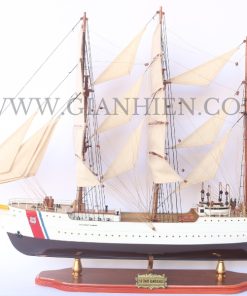 US COAST GUARD EAGLE