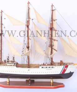 US COAST GUARD EAGLE