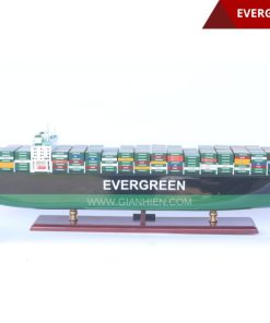 EVERGREEN - 20
