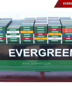 EVERGREEN - 24