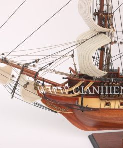 USS CONTITUTINON Special Edition