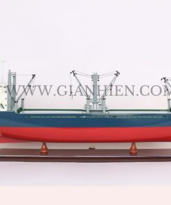 MV TTC HAI PHONG