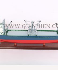 MV TTC HAI PHONG