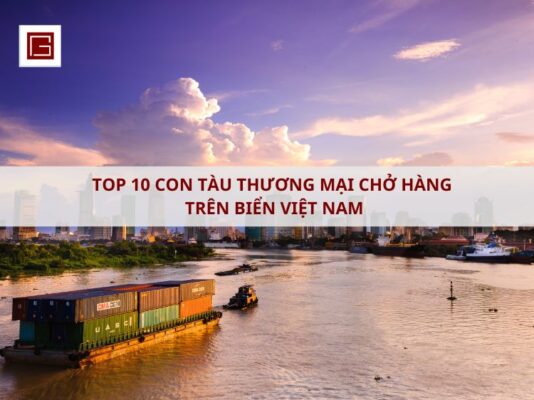 top-10-con-tau-thuong-mai-cho-hang-tren-bien-viet-nam-dac-diem-va-manh