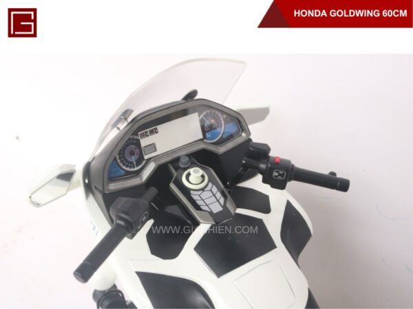 HONDA GOLDWING-10