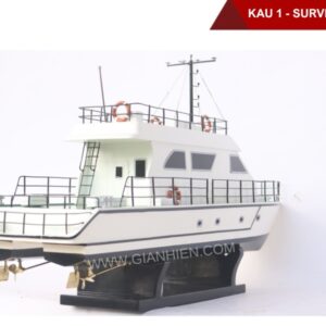 KAU 1 - SURVEY-41