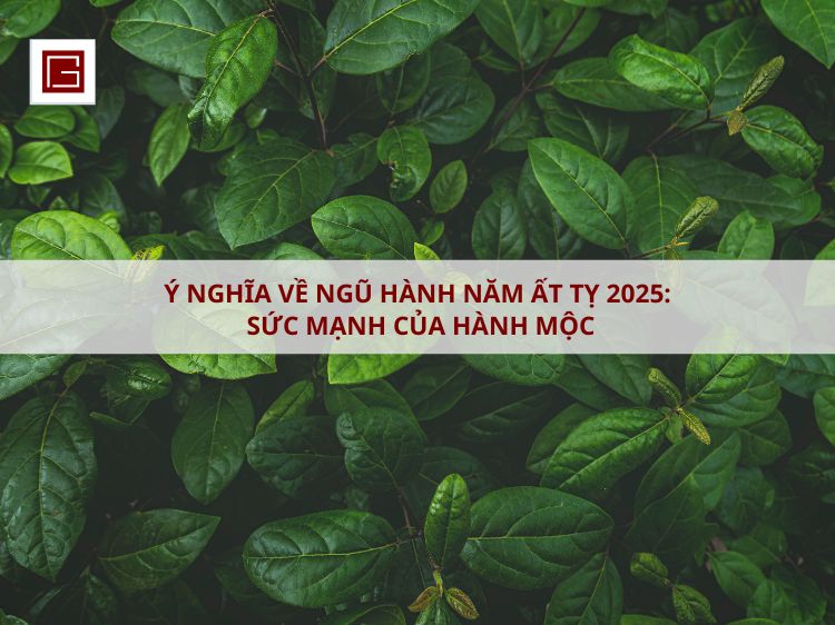 y-nghia-ve-ngu-hanh-trong-nam-ty-2025