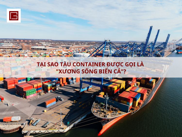 tai-sao-container-duoc-goi-la-xuong-song-cua-bien-ca