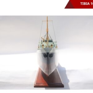 Tibia-13