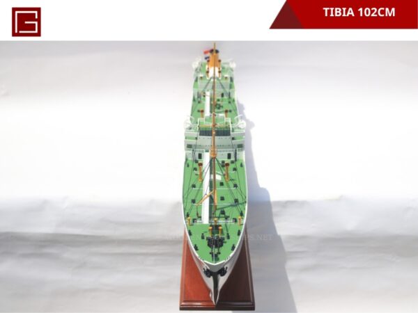 Tibia-14