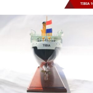 Tibia-15