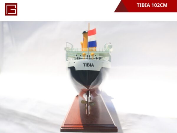 Tibia-15