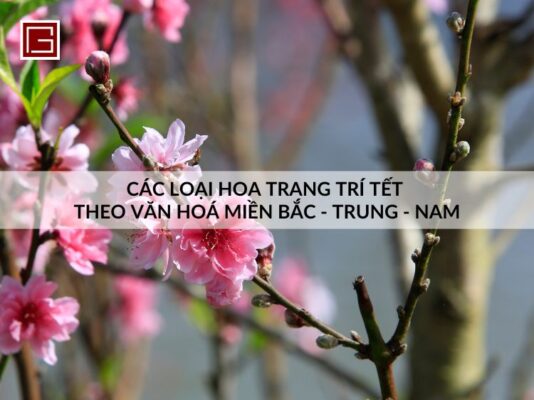 cac-loai-hoa-trang-tri-tet-theo-van-hoa-mien-bac-trung-nam