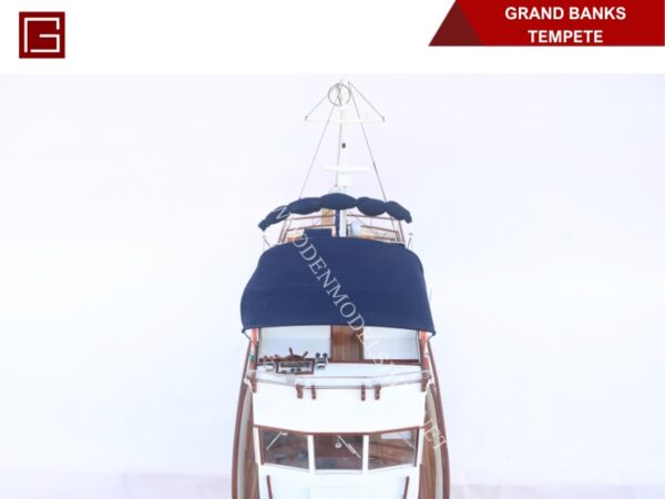 Grand Banks-TEMPETE (15)