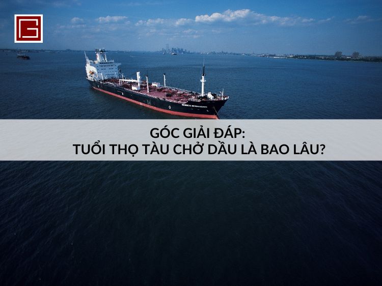 goc-giai-dap-tuoi-tho-tau-cho-dau-la-bao-lau