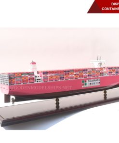 DISPLAY CASE FOR CONTAINER ONE APUS 100CM (5)