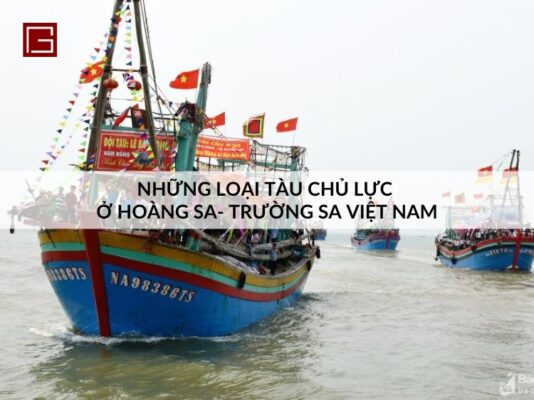 nhung-loai-tau-chu-luc-o-hoang-sa-truong-sa-viet-nam