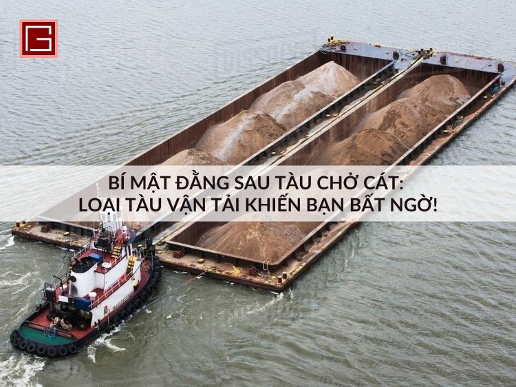 bi-mat-dang-sau-tau-cho-cat